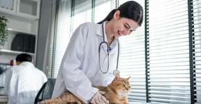 Foto: (Imagem sem texto alternativo disponivel ID [2704837])