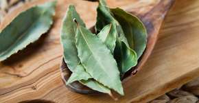 Foto: (iSTock/joannatkaczuk)