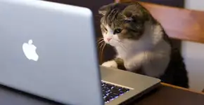 Foto: (Imagem sem texto alternativo disponivel ID [1007718])