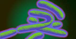 Foto: (smartboy10/istock)