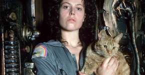 Foto: (Imagem sem texto alternativo disponivel ID [1867911])