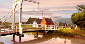 Foto: (Divulgação)