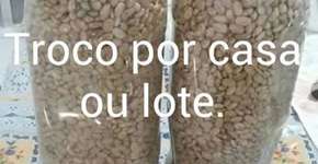 Foto: (Imagem sem texto alternativo disponivel ID [1093571])