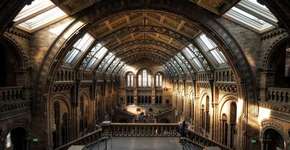 Conheça Londres com passeios agradáveis e de graça