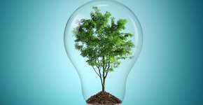 Foto: (Imagem sem texto alternativo disponivel ID [687526])