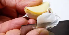 Foto: (Yuuji/istock)