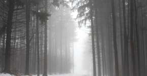 Reality russo causa polêmica ao permitir assassinato e estupro