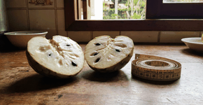 Foto: (Imagem sem texto alternativo disponivel ID [2747481])