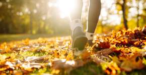 Pausa de 20 minutos ao ar livre é arma contra o estresse, segundo estudo