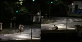 Morador de rua limpa bueiros para evitar enchentes e comove web