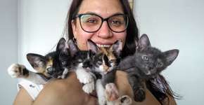 Bastidores: protetora revela rotina do resgate de animais