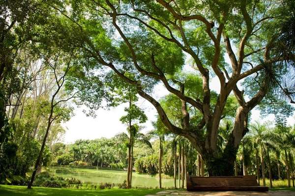 Foto: Facebook Oficial