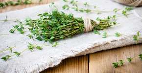 Foto: (iSTock/wmaster890)