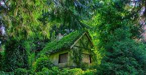 As casas de campo mais criativas que você já viu