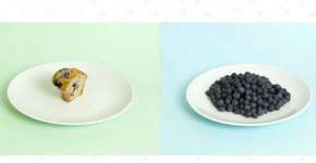 Foto: (Imagem sem texto alternativo disponivel ID [1895947])