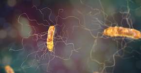 Foto: (Dr_Microbe/istock)