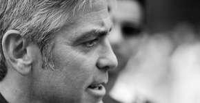 Foto: (Imagem sem texto alternativo disponivel ID [913425])