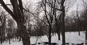 Foto: (Arquivo pessoal)