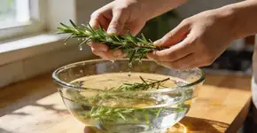 Foto: (Imagem sem texto alternativo disponivel ID [2676611])