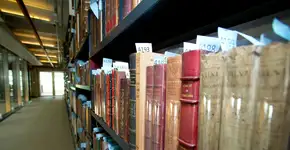 USP oferece mais de 900 livros gratuitos; veja como baixar online