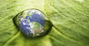 Foto: (Imagem sem texto alternativo disponivel ID [431682])