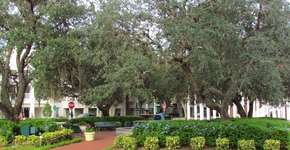 Foto: (Imagem sem texto alternativo disponivel ID [1869422])