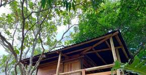 Foto: (Divulgação)