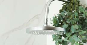 Foto: (Liudmila Chernetska/istock)