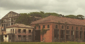 Foto: (Imagem sem texto alternativo disponivel ID [845704])