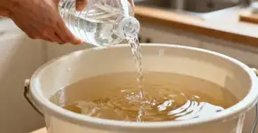 Foto: (Imagem sem texto alternativo disponivel ID [2670523])