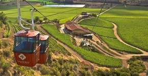 Valle de Colchagua, no Chile, é destino para viajar em família