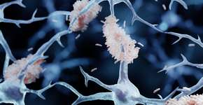 Foto: (iStock/Artur Plawgo)