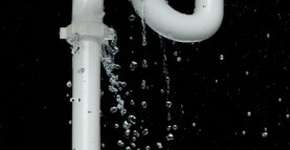 Foto: (Imagem sem texto alternativo disponivel ID [1861743])