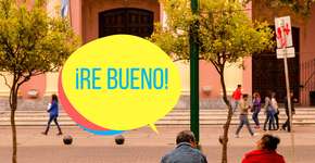 Foto: (Imagem sem texto alternativo disponivel ID [1108244])