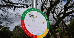 Projeto de carona compartilhada quer menos carros e mais amigos