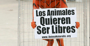 Foto: (Imagem sem texto alternativo disponivel ID [1842194])