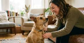 Por que os cães inclinam a cabeça quando nos ouvem?