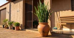 Foto: (Imagem sem texto alternativo disponivel ID [2786592])