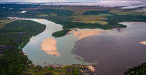 Foto: (Imagem sem texto alternativo disponivel ID [1842683])