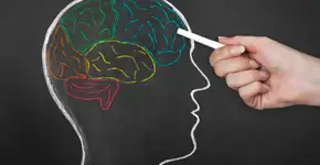 Duas ervas que melhoram memória e aprendizado