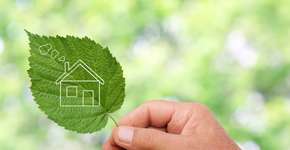 Foto: (Imagem sem texto alternativo disponivel ID [822195])