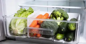 Foto: (Imagem sem texto alternativo disponivel ID [2678130])