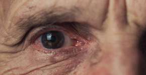 Foto: (iStock/Yaraslau Saulevich)