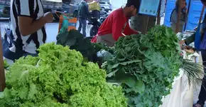 Tai chi chuan, yoga e dança circular em inauguração de Feira Orgânica em Olaria