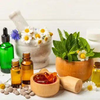 Featured mobile: Plantas medicinais e fitoterápicos: veja os benefícios para a saúde