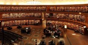 Foto: (Divulgação)