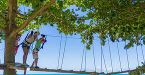 Foto: (Divulgação)