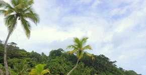 Foto: (Gardenia Rogatto/Não Pira Desopila)