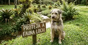 Foto: (Imagem sem texto alternativo disponivel ID [2746032])