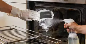 Foto: (Imagem sem texto alternativo disponivel ID [2679033])